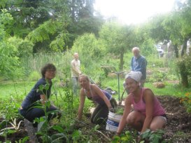 Weeding the gardens at Dharmalaya and Vistara